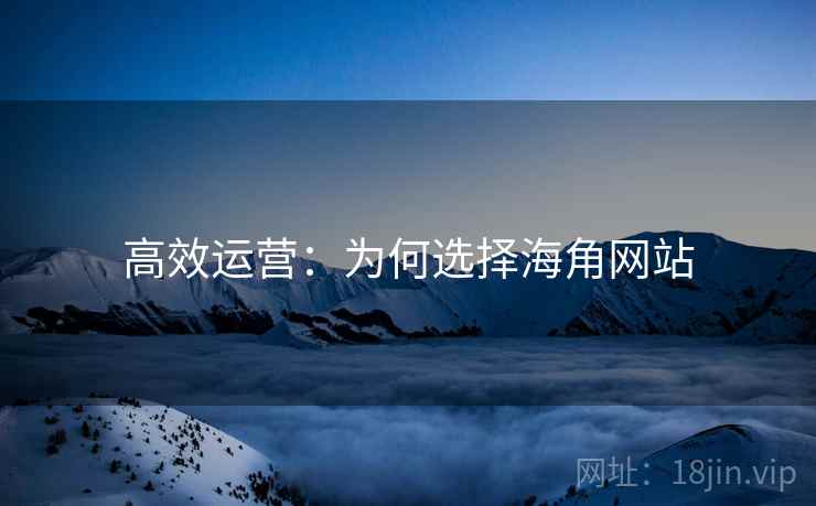 高效运营：为何选择海角网站