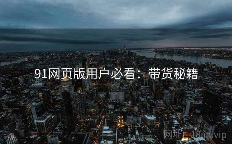 91网页版用户必看：带货秘籍