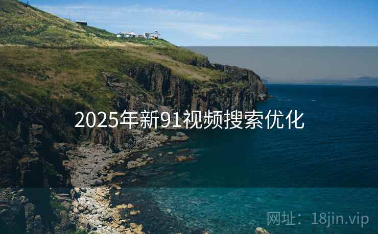 2025年新91视频搜索优化