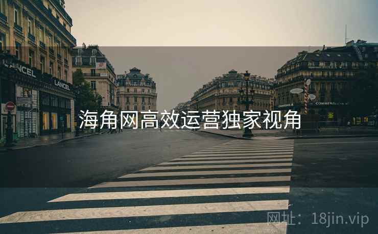 海角网高效运营独家视角