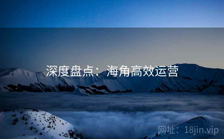 深度盘点：海角高效运营