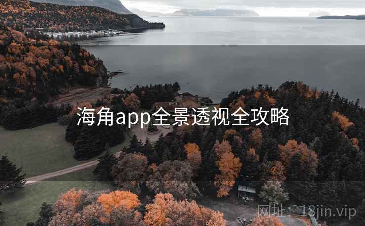 海角app全景透视全攻略