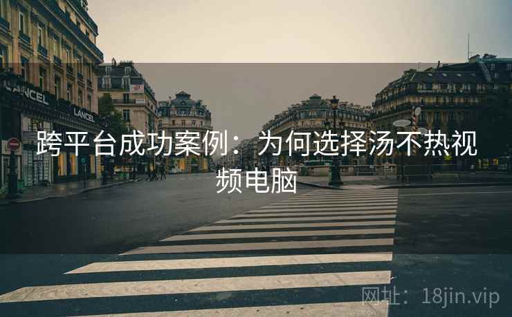 跨平台成功案例：为何选择汤不热视频电脑